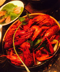 ţ��������ţ����ԳԷ��� ��ţ�������