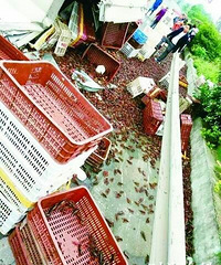 ��ǧ����С��Ϻ��������� �񾯰�æ���ֱ�����