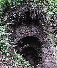 ����21��ǰΪ���˲������� �����Ա�˵�������