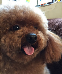 ���ȳ������+һ������к�����