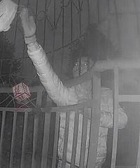 Ůҵ������6���ڿ� ������±�̬����Ӱ