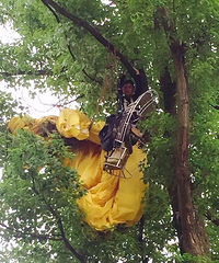 ���ߣ�������������� �����������