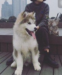 ϲ�����������Ѱ�������Ͷ�ϱ����һƱ�� ��