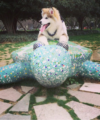 ϲ�����������Ѱ�������Ͷ�ϱ����һƱ�� ��