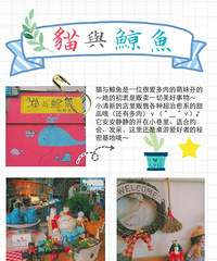 �Ի�����֤��è�뾨�㡪�������õ�С��ʹ