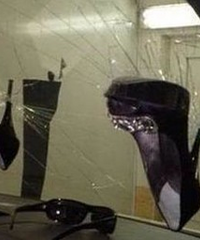 �ʹ��߸�Ь����ֽ����̫Σ������ľ�У�