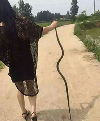 Ů����ץ�ߣ�