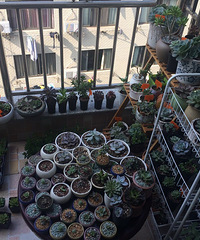 �Ҽҵ�����