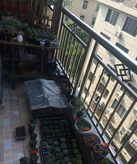 �Ҽҵ�����