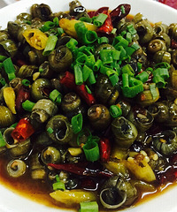 �������»�