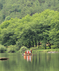 ����ͦ�޵�