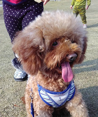 ���ȳ������+���й��£���������