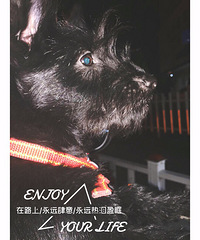 ���ȳ�����������������Ͳ��ó��ܵ�˧��