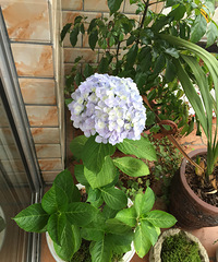 ���Ǹ�ҵ�������