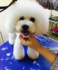 ���ȳ��������������ĳ�С��