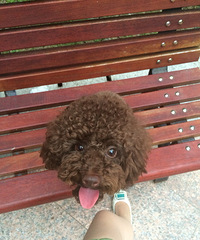 ���ȳ������Ƥ�����