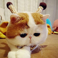 30��MM163cm�з��г����ž�������