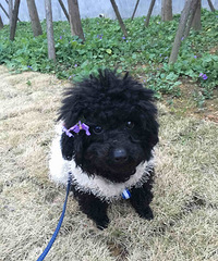 ���ȳ������+��ѽ��ѽ��  ���ж�Ȯ ע�����