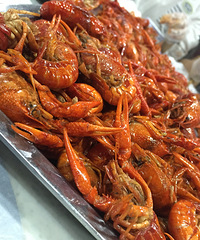 �ҵ�����ֻ����֮����С��Ϻ