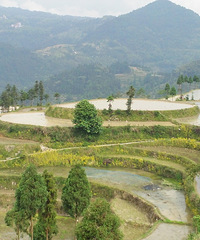 江南最大的梯田,茗岙梯田