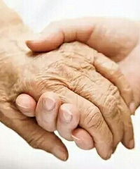 ����٣��ŵú�