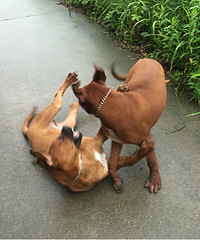 ��Ȯ����