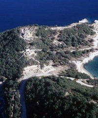 ϣ���Ŀ�����Ա�����ҵ�����ʿ�����Ĺ