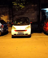 ���ĵ�ʮ���� ��С�����ҷ���