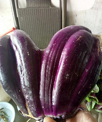 ��������Ӵ�ҿ�������