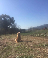 ���ȳ������  �㲻����������������ȴ���