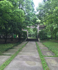 ��̬������