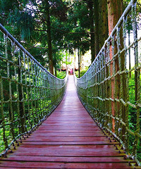 ɽׯ���Դ�����