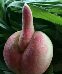 �����ӳ���̫�и�����