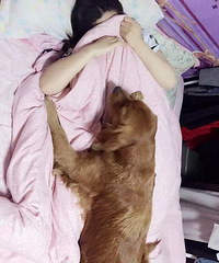 ��ë��ġ����۾���