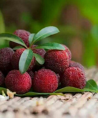 ��ɮ�����ԣ�����Ҳ�ǲ���Ҫ��Ҫ��