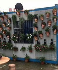 �����ֵ�Ͳһ�գ������ˣ�