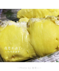 �Ի�����֤ û��ˮ��������������