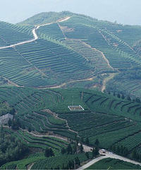 临海羊岩山,以“山顶石壁上有石影如羊”而得名