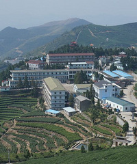 ����̫����