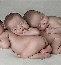 ����̥��ȫһ��