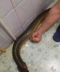 �������Ҫ�ɾ����������󻹴�