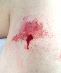 С��������Ȯҧ����