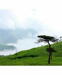 �书ɽ���ش�Խ6��9-12��D1����--Ƽ��D2