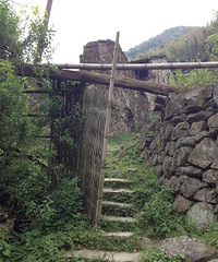 想走就走,临海马鬃岗百丈青之旅