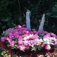 26��165cm˫��MM���û�����