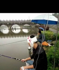 ���ŵ����ֵ���