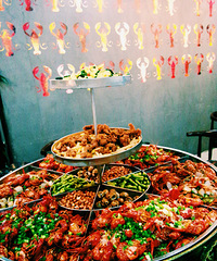 ������һ�γ���Ϻ�׸�С��è