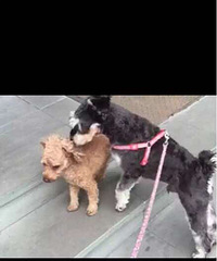 ��Ұ�æѰ���ҹ��ۼҹ�����