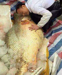 �����˲����ˣ���ô��Ļ��㻹�ǵ�һ�μ���