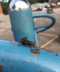 ���컯��֮�£���һ�Ծ�Ȼ�ڹ��������������